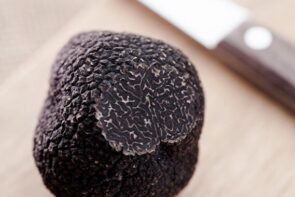 10g Fresh Black Perigord Truffle