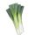 1 Leek