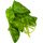 1 Small Bunch Basil