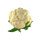 1&frasl;4 Cauliflower