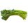 1 Bunch Broccolini