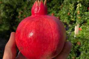 Local Pomegranate 2 Each