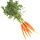 1 Bunch Baby Carrots