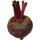 200g Baby Red Beetroot