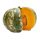 400 Gram Kent Pumpkin