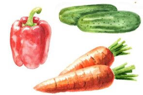 Kids Veggie Snack Pack