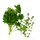 1⁄2 Small Bunch Flatleaf Parsley & Thyme