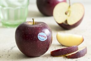 Bravo Premium Apples (4 each)