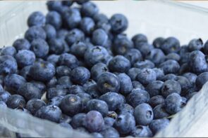 Blueberries Farm Pack (500g)