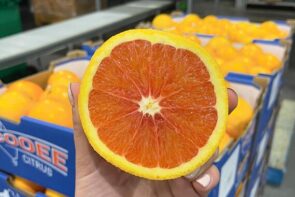 Cara Cara Blood Oranges (1kg)
