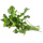 0.5 Small Bunch Coriander