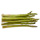 100.0 g Asparagus