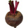 200.0 g Baby Red Beetroot