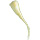 1.0 Each Parsnip
