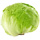 1 Each Iceberg Lettuce