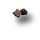 5.0 g Black Truffle